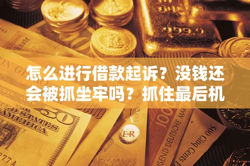 武汉怎么进行借款起诉？没钱还会被抓坐牢吗？抓住最后机会！