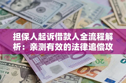 武汉担保人起诉借款人全流程解析：亲测有效的法律追偿攻略