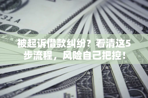 武汉被起诉借款纠纷？看清这5步流程，风险自己把控！