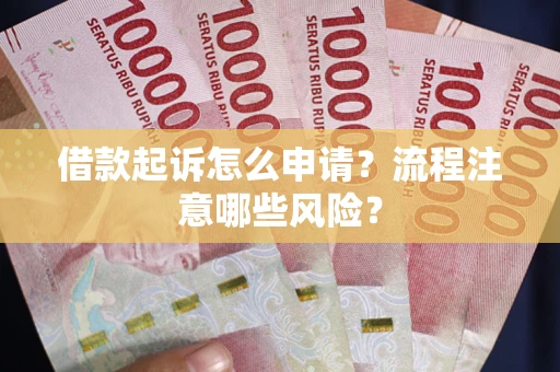 武汉借款起诉怎么申请？流程注意哪些风险？